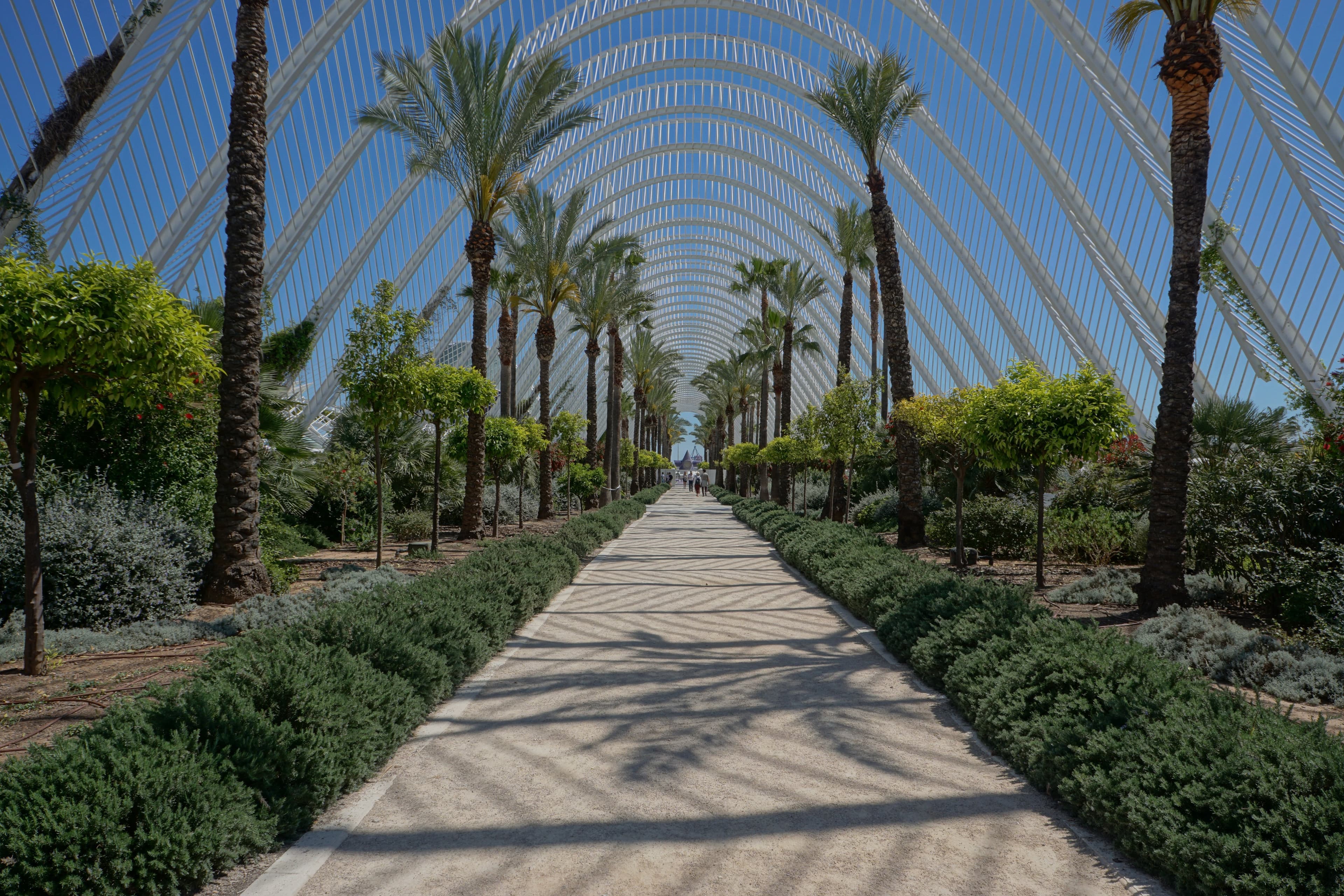 Valencia skyline panorama